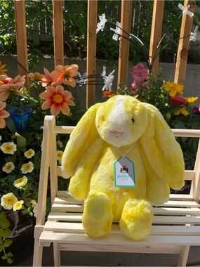 💛Frozen Lemonade Custom Jellycat Bunny